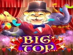 Big Top screenshot