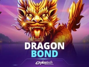 Dragon Bond screenshot